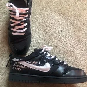 Nike | Shoes | Off White Dunks Low No Off White Tag Dog  display picture 3